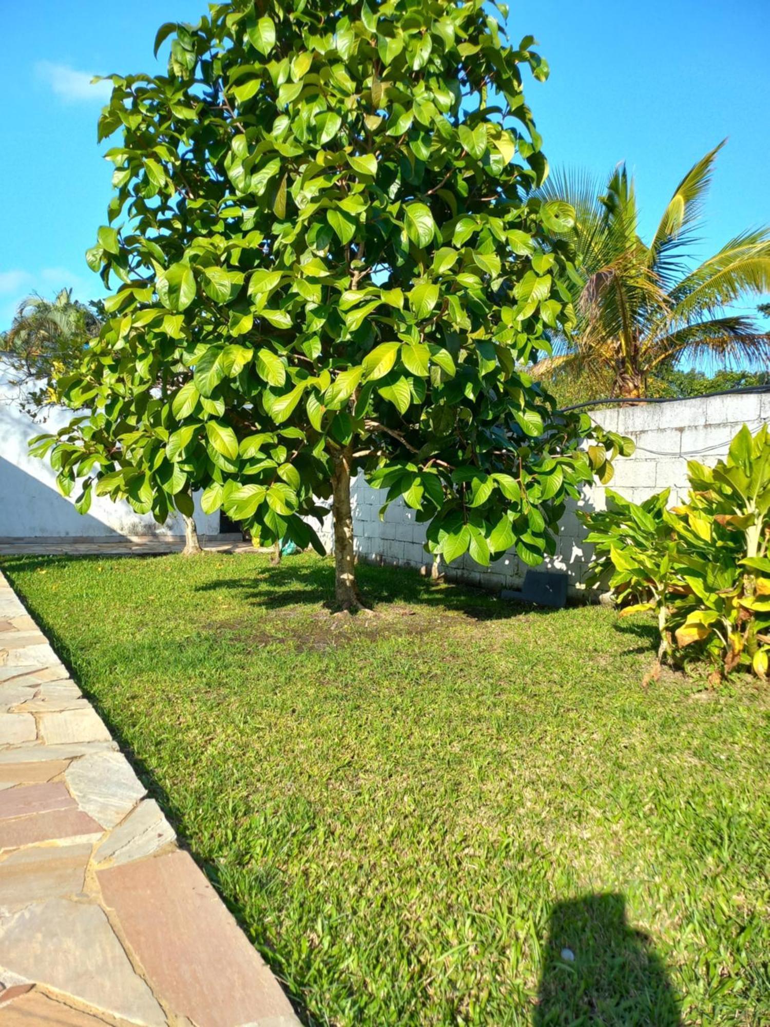 Chacara Sitio Casa Peruibe Praia Extérieur photo